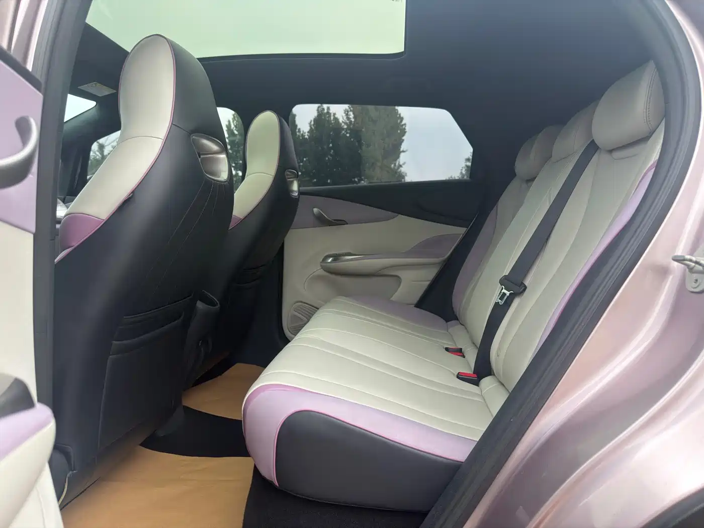 BYD Dolphin 2021 2021 Model 405km Fashion Edition