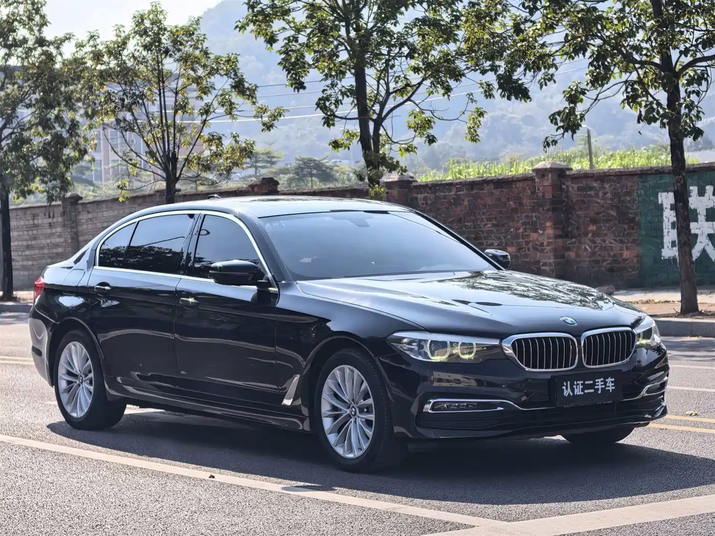 BMW 5 Series 2019 530Li Leading Luxury Package фото 3