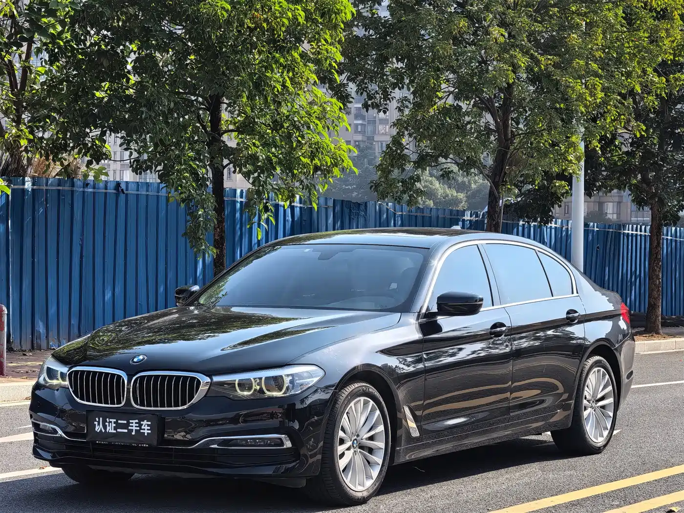BMW 5 Series 2019 530Li Leading Luxury Package