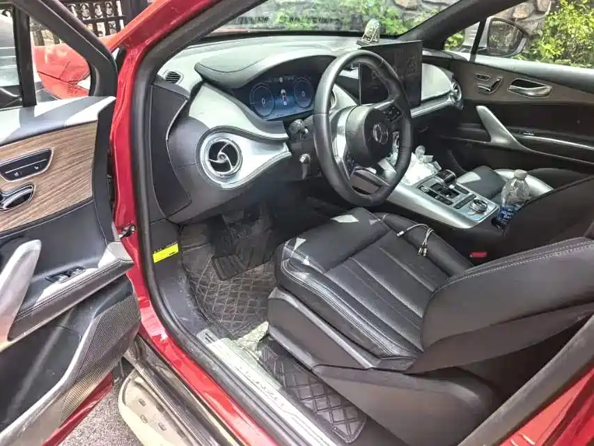 Denza X 2020 PHEV Classic Edition фото 5
