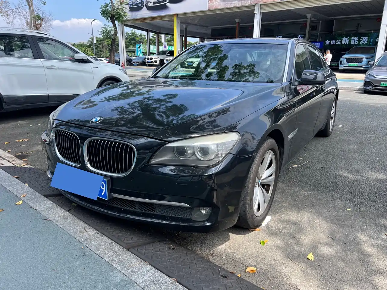BMW 7 Series 2009 730Li Leading