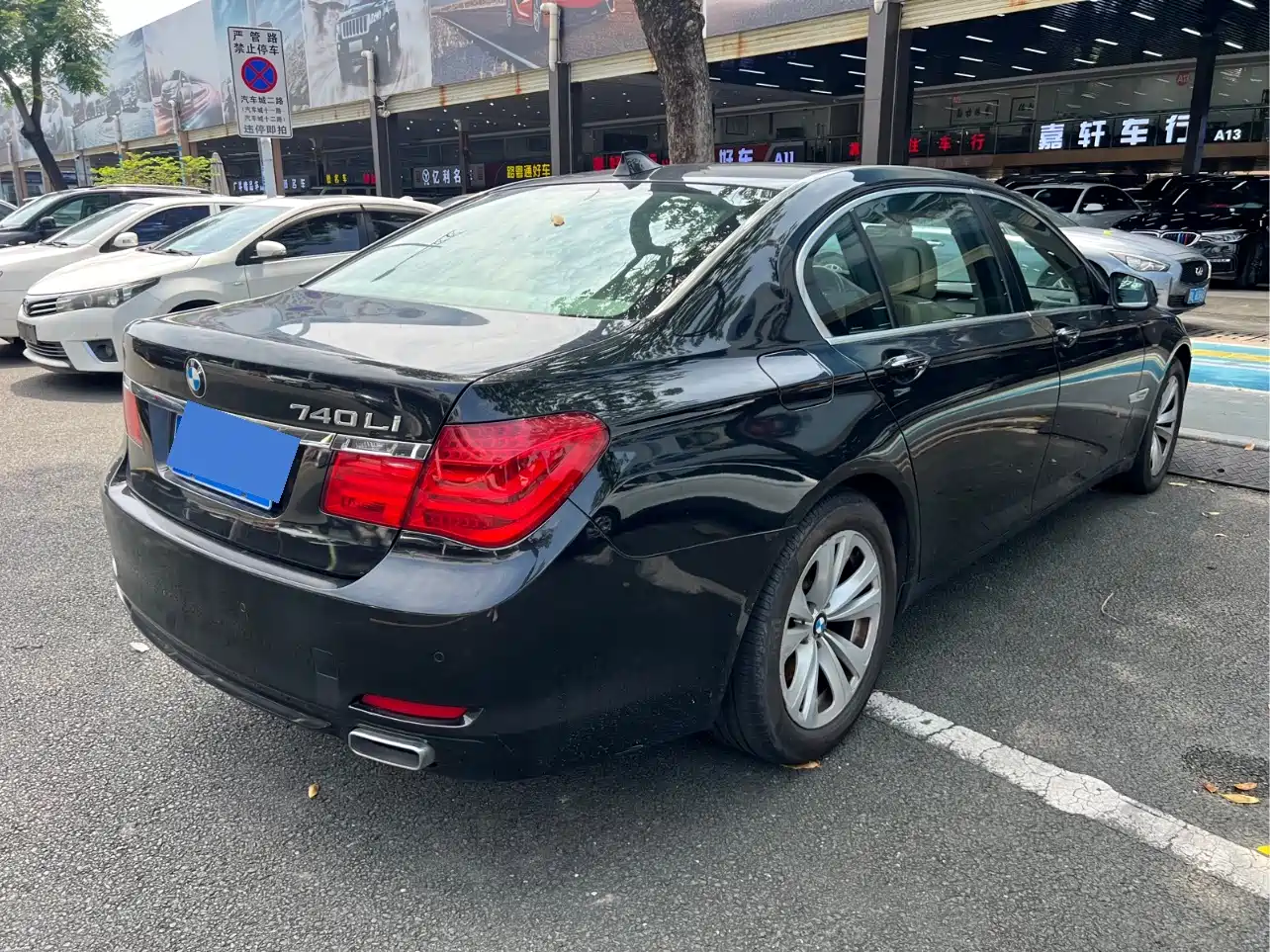 BMW 7 Series 2009 730Li Leading фото 9