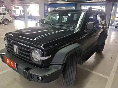 Tank 300