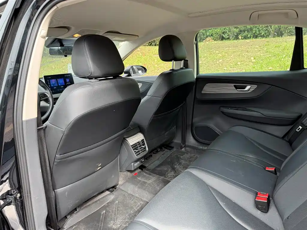 Hongqi E-QM5 2023 620km PLUS фото 9