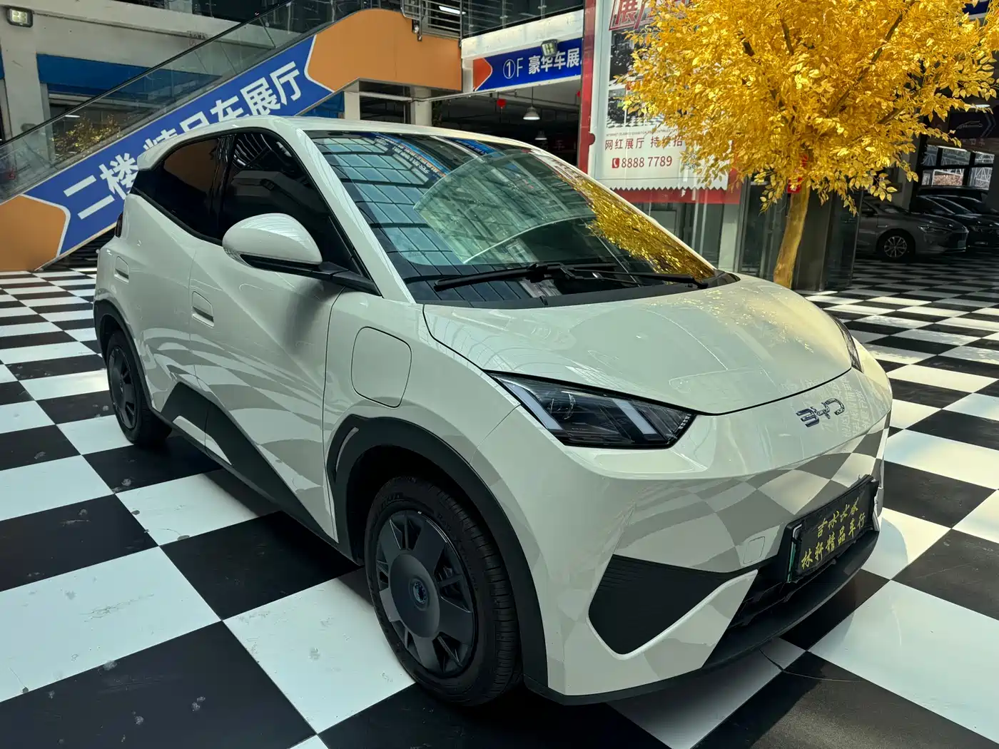 BYD Seagull 2025 305km Vitality фото 4