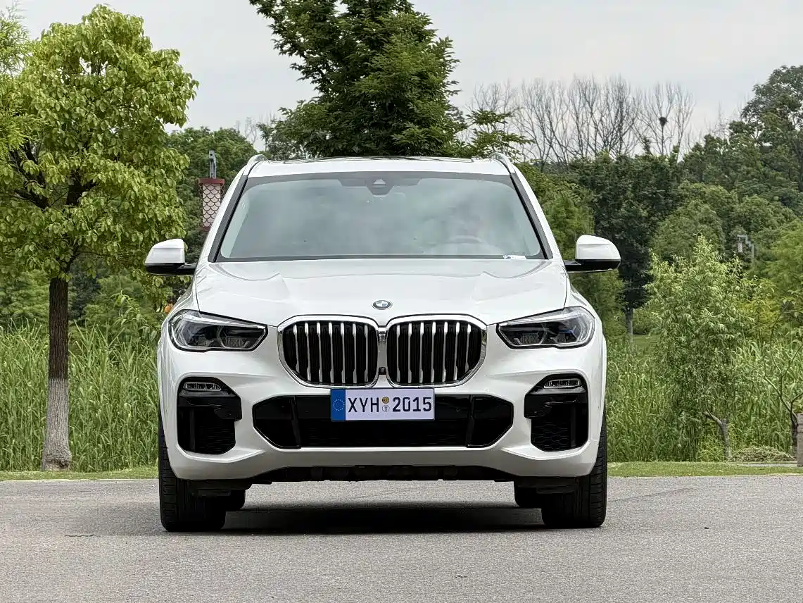 BMW X5 (Import) 2020 xDrive40i M Sport Package фото 2