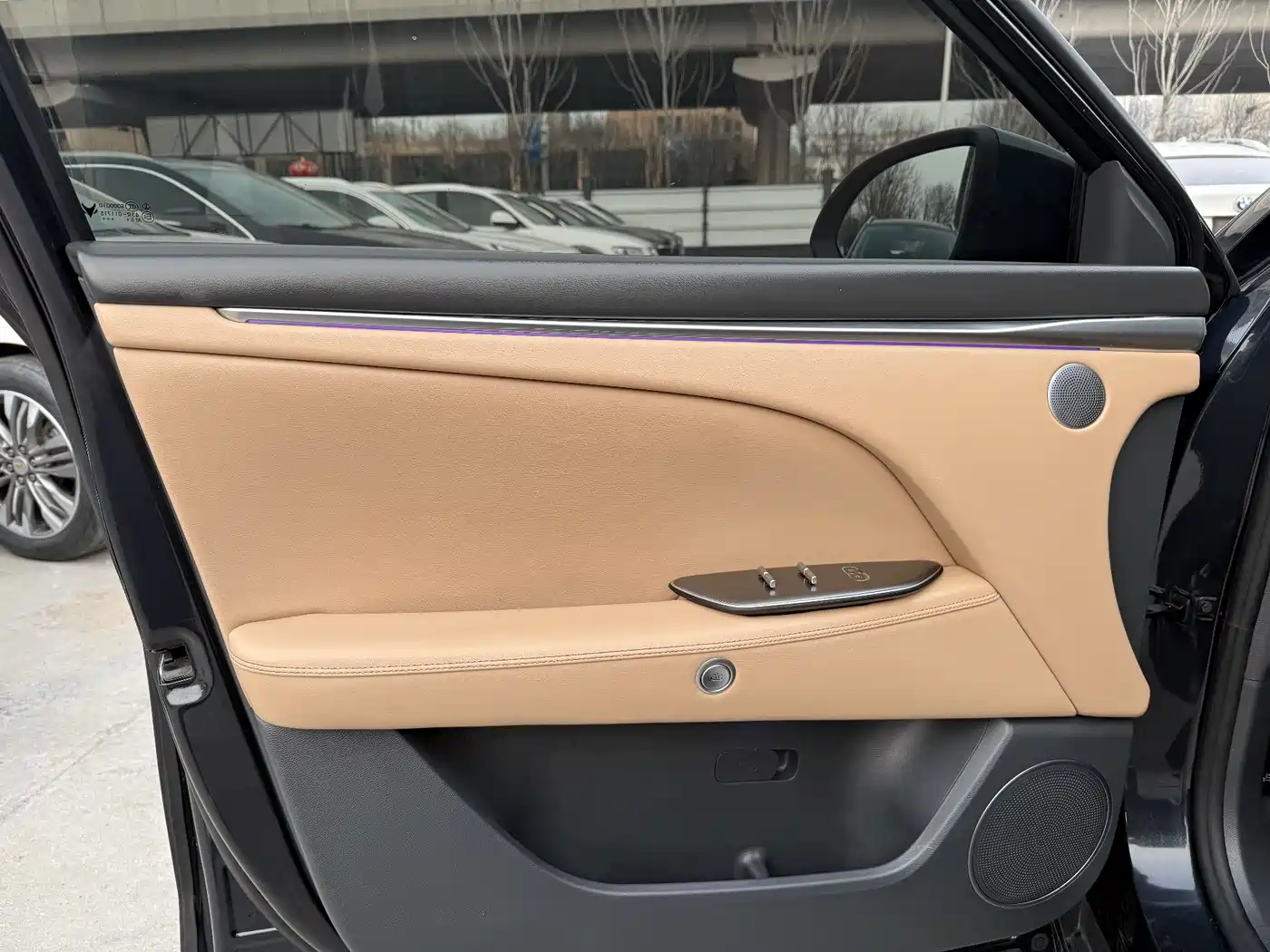 ARCFOX EXTREME FOX POLAR FOX ALPHA T5