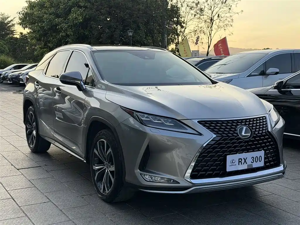 Lexus RX 2020 300 AWD Elegance Edition China V фото 3