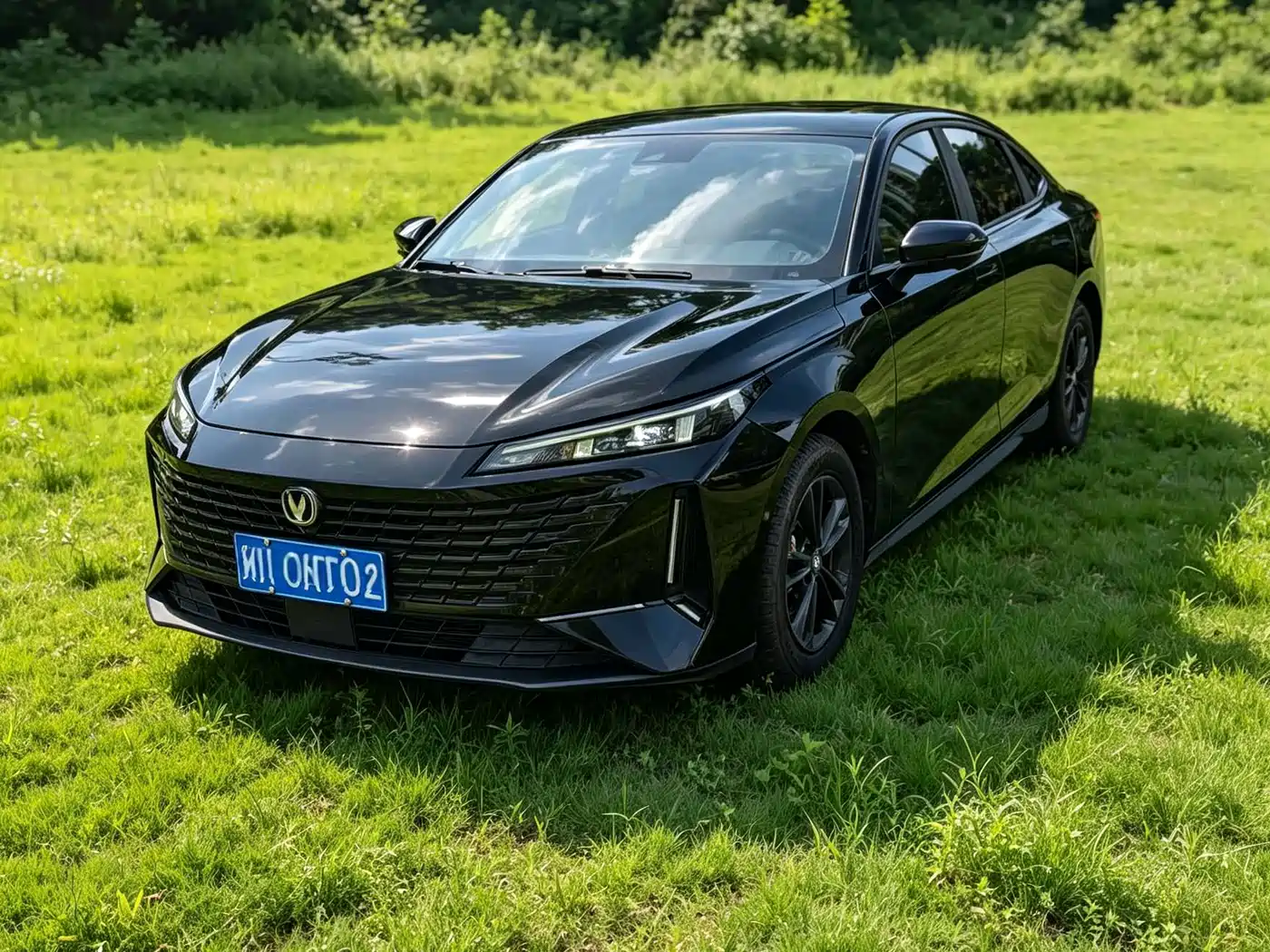 2024 Changan Yida
