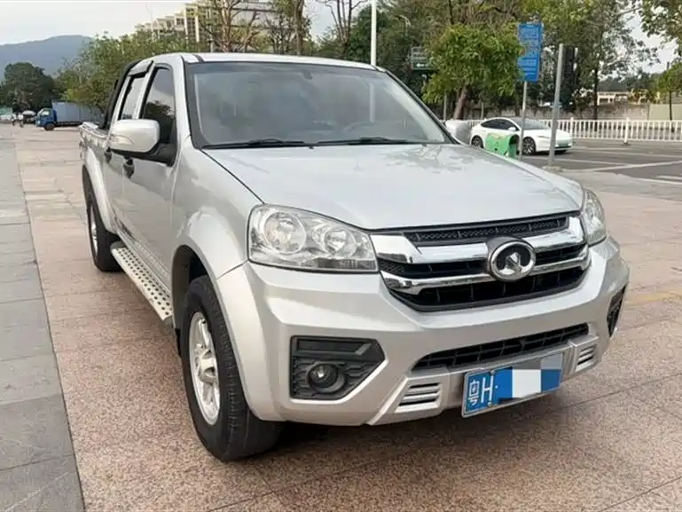 GREAT WALL FENGJUN 5