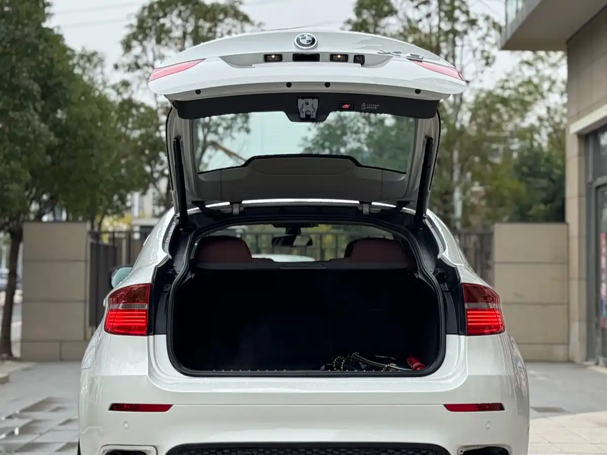 BMW X6 2009 xDrive35i фото 19