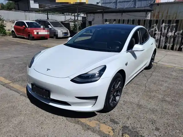 TESLA MODEL 3 2020