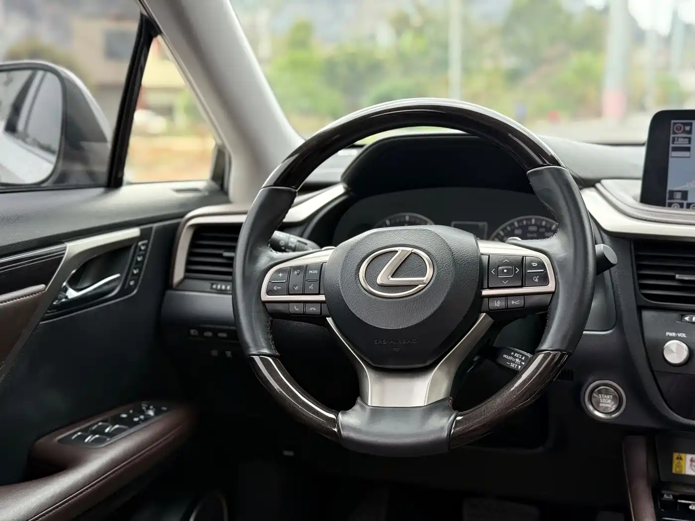 Lexus RX 2020 300 4WD Luxury Edition China VI фото 10