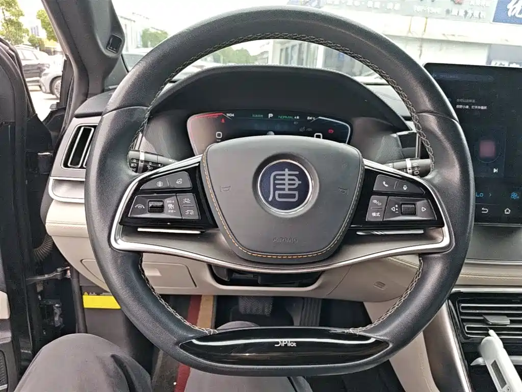 BYD Tang New Energy 2022 EV 730KM Premium фото 11