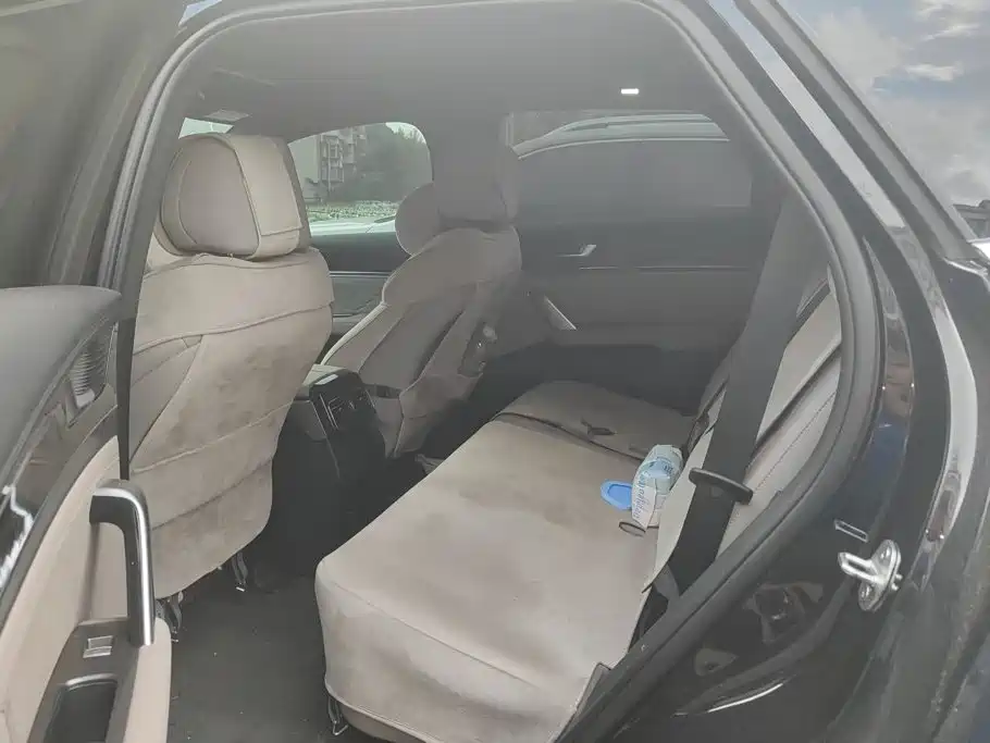 BYD Tang New Energy 2025 2025 DM-i 115KM Premium