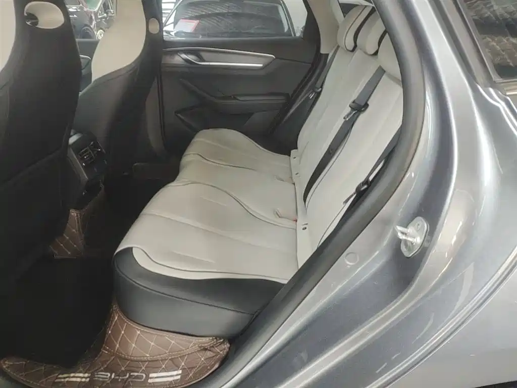 BYD Destroyer 05 2023 Model Champion Edition DM-i 120KM Luxury фото 17