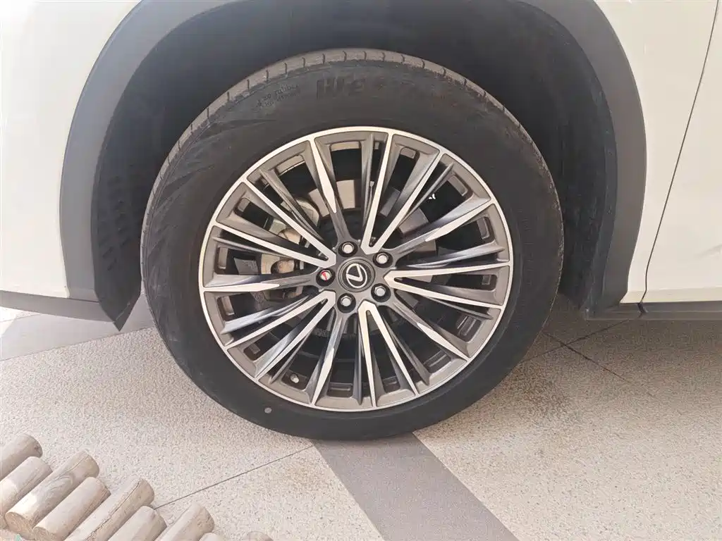 Lexus RX 2020 Facelift 300 2WD Elite Edition фото 23