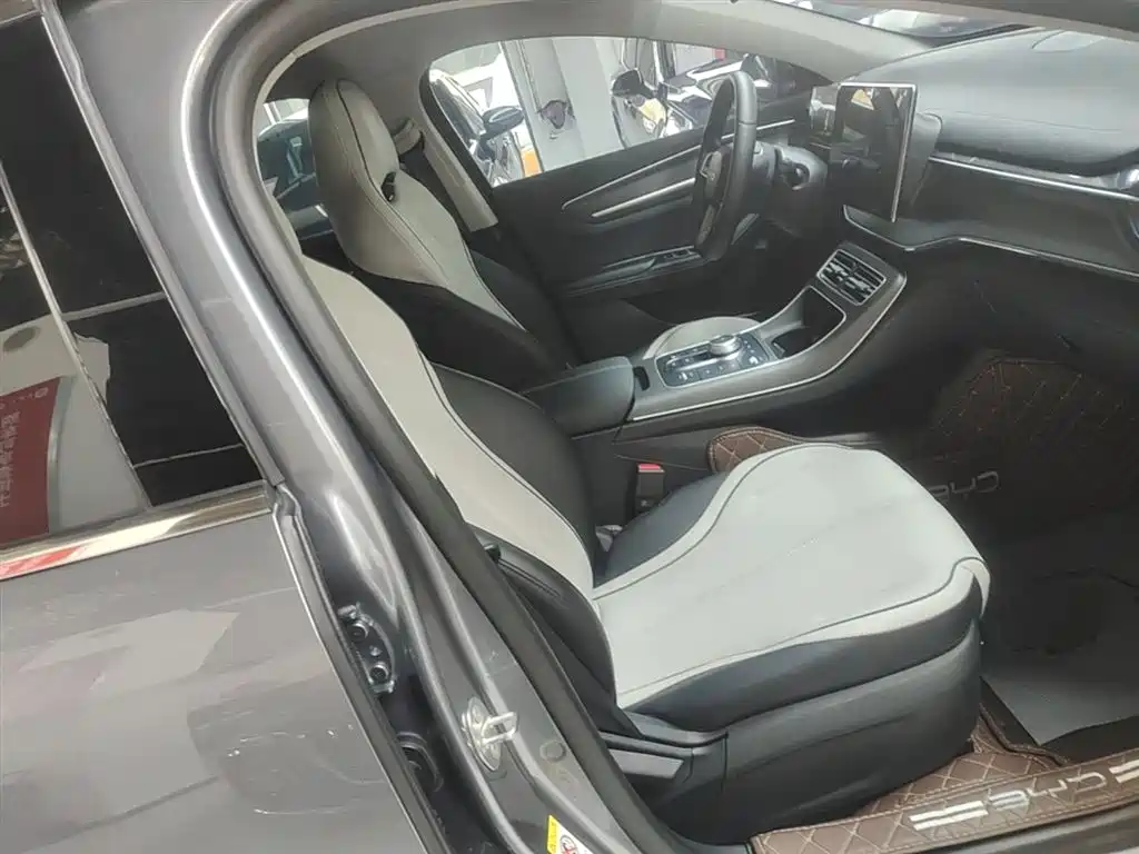 BYD Destroyer 05 2023 Model Champion Edition DM-i 120KM Luxury фото 25