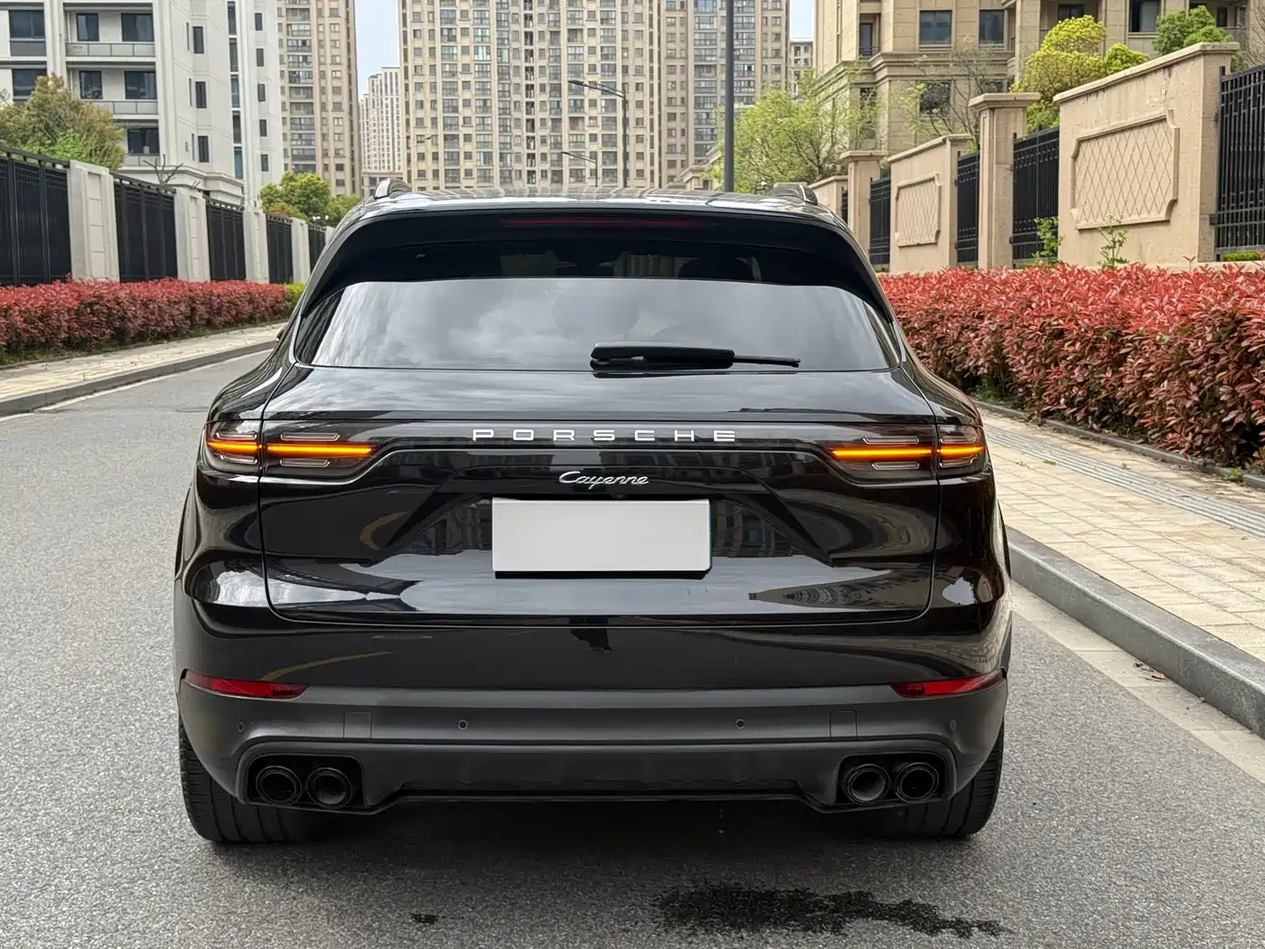 Porsche Cayenne 2019 Cayenne 3.0T фото 4