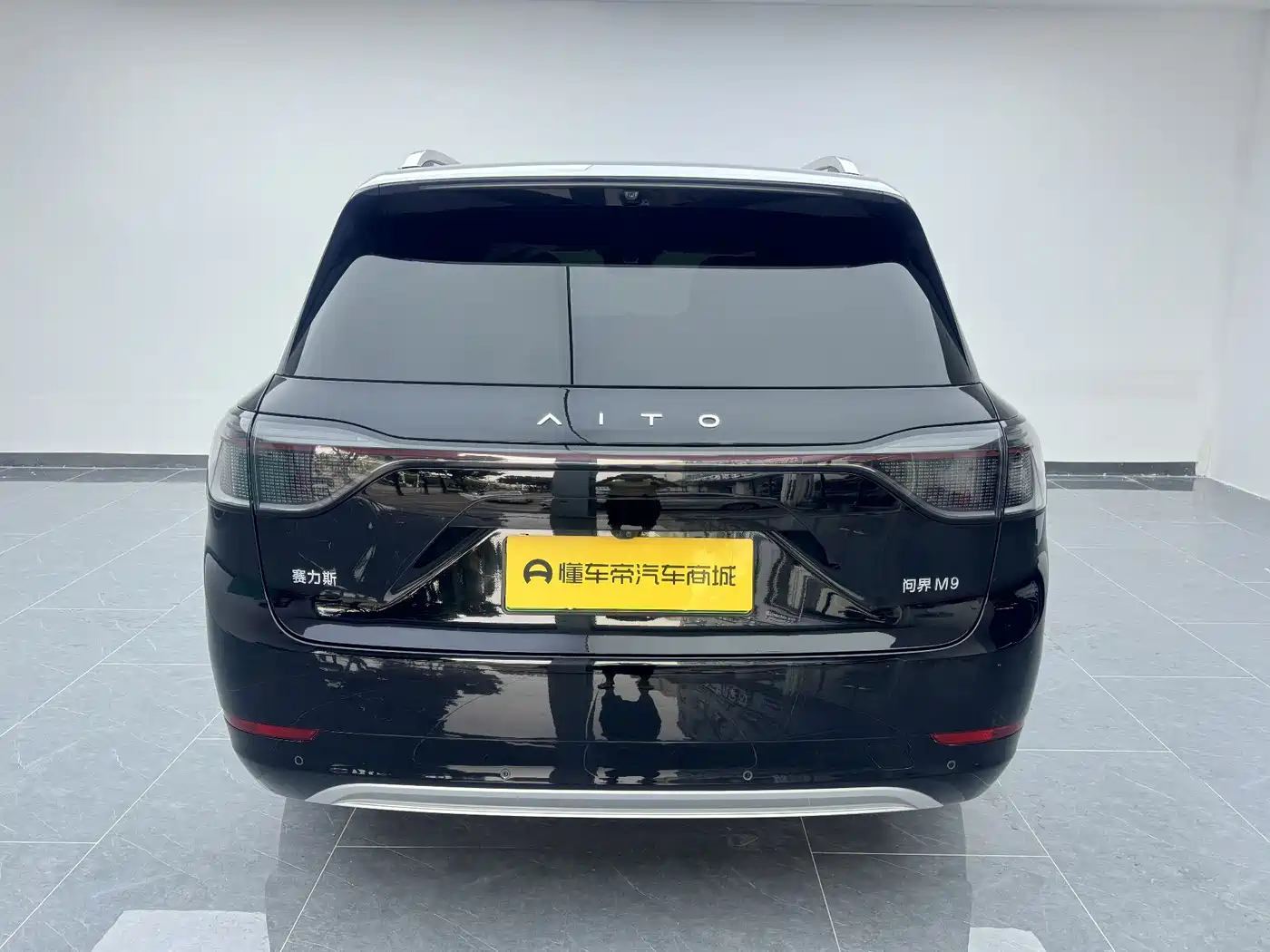 AITO Wenjie AITO M9 2024 Extended Range Ultra 42kWh 6-Seater фото 17