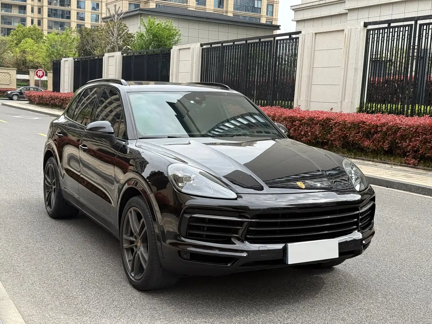 Porsche Cayenne 2019 Cayenne 3.0T фото 2