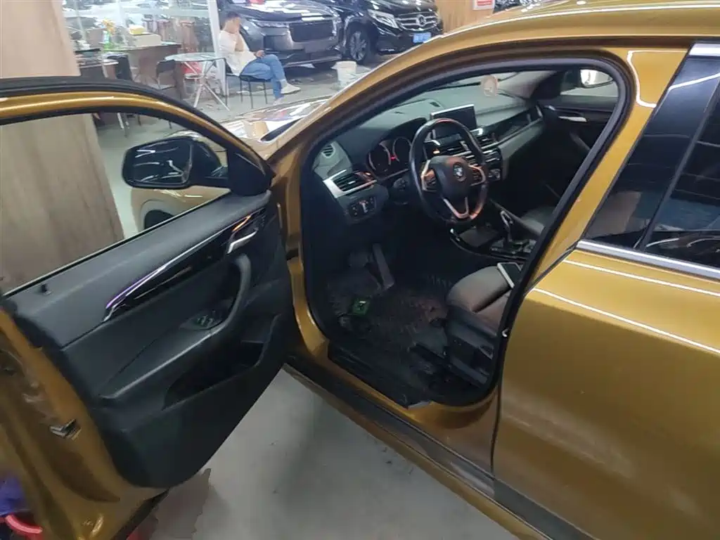 BMW X2 (Import) 2019 sDrive20i M Off-Road Package China VI фото 16