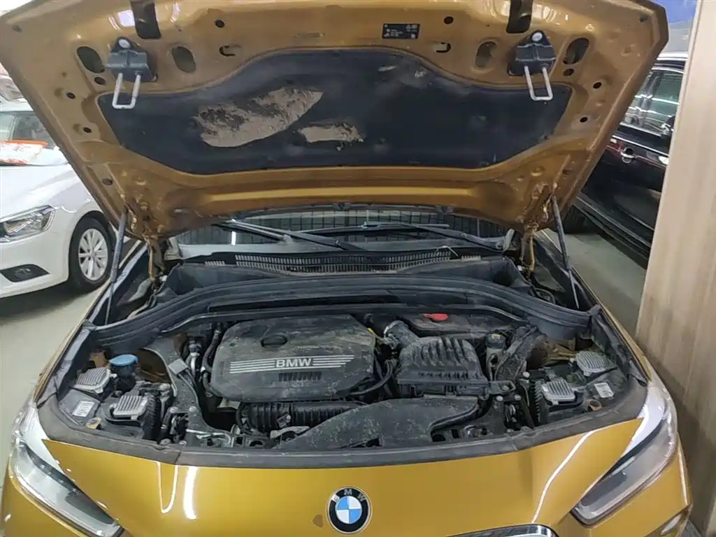 BMW X2 (Import) 2019 sDrive20i M Off-Road Package China VI фото 20