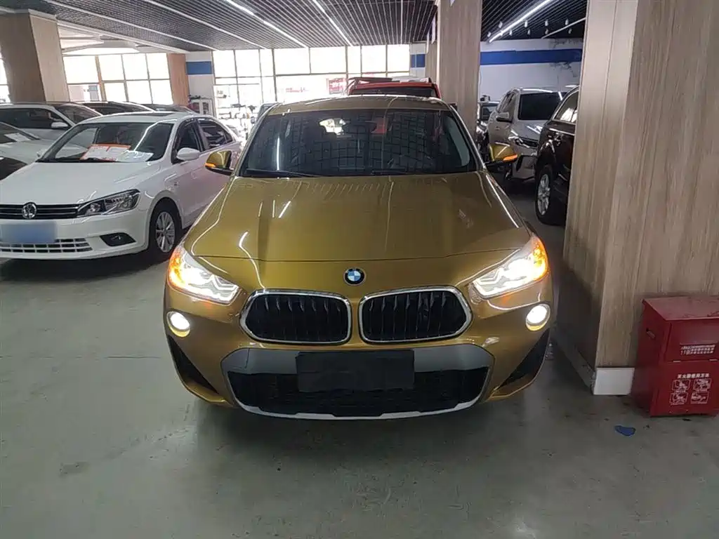 BMW X2 (Import) 2019 sDrive20i M Off-Road Package China VI фото 3