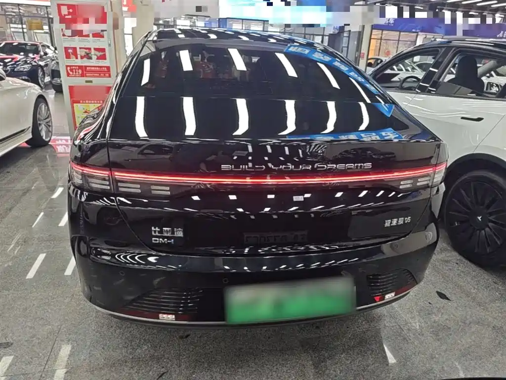 BYD Destroyer 05 2024 Glory Edition DM-i 120KM Luxury фото 6