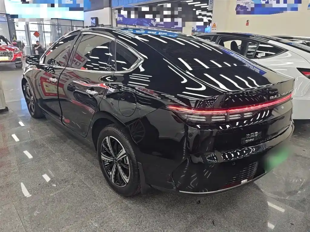 BYD Destroyer 05 2024 Glory Edition DM-i 120KM Luxury фото 5