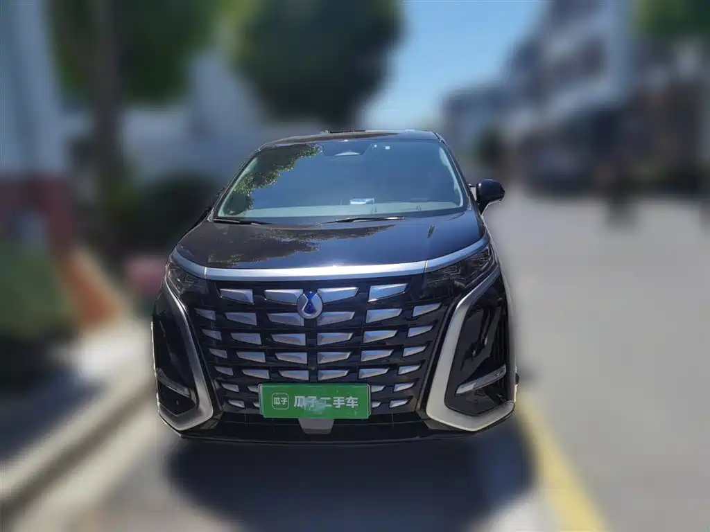 Denza D9 2022 DM-i 970 AWD Flagship фото 24