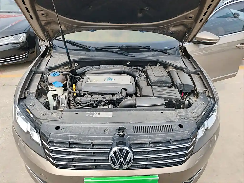 Volkswagen Passat 2014 1.8TSI DSG Executive Edition фото 16