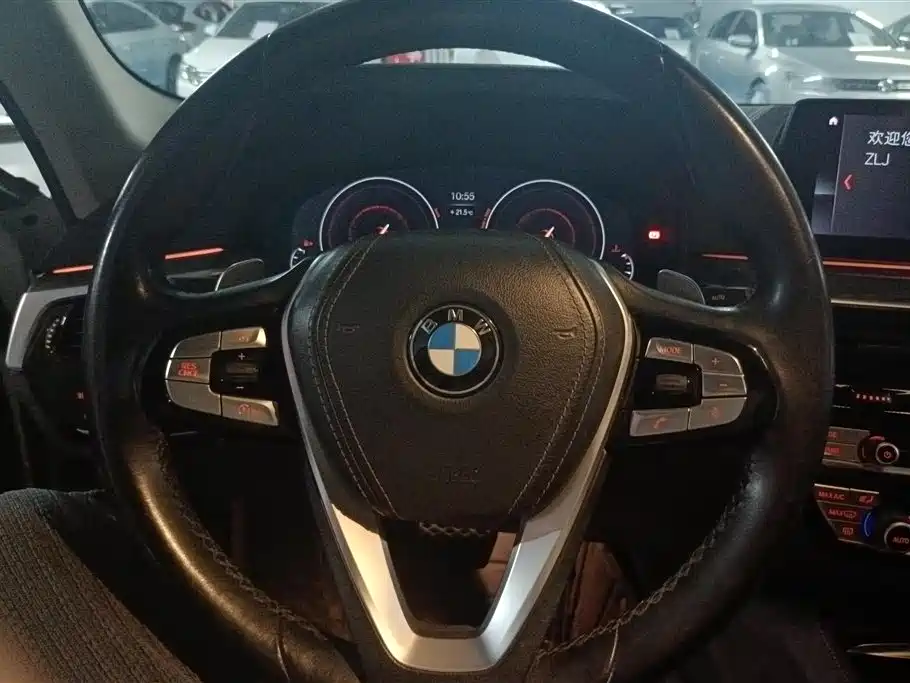 BMW 5 Series 2019 530Li Leading Luxury Package фото 15