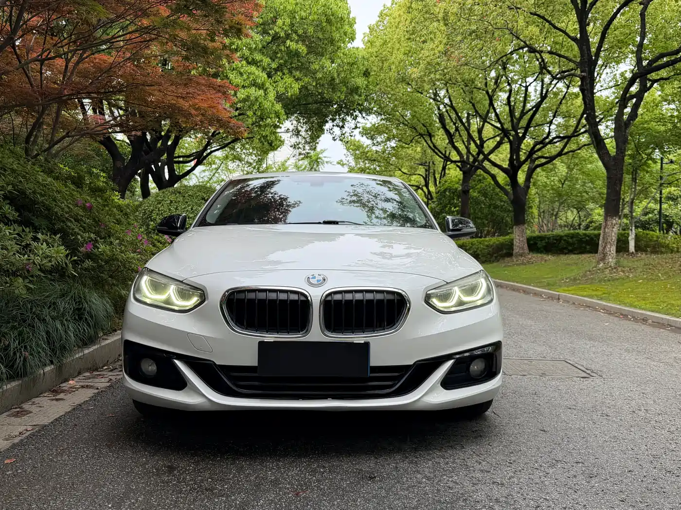 BMW 1 Series 2017 120i Design Package фото 2