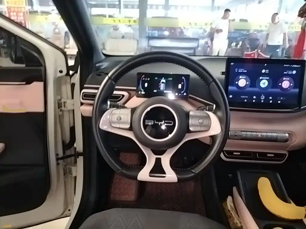 BYD Seagull 2023 Flying Edition фото 11