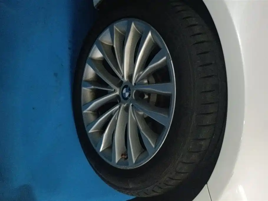 BMW 5 Series 2019 530Li Leading Luxury Package фото 6