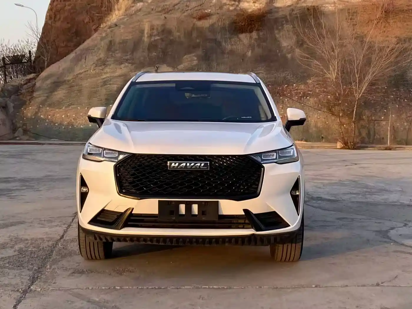 Haval H6 2021 3rd Generation 2.0T Auto AWD Max фото 2