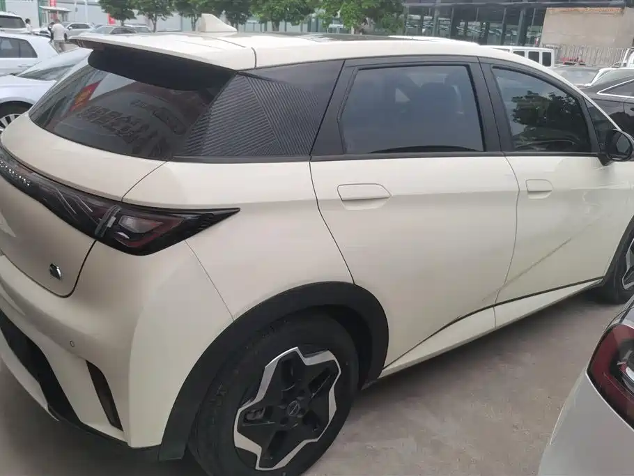 BYD Dolphin 2023 420km Fashion Edition фото 3