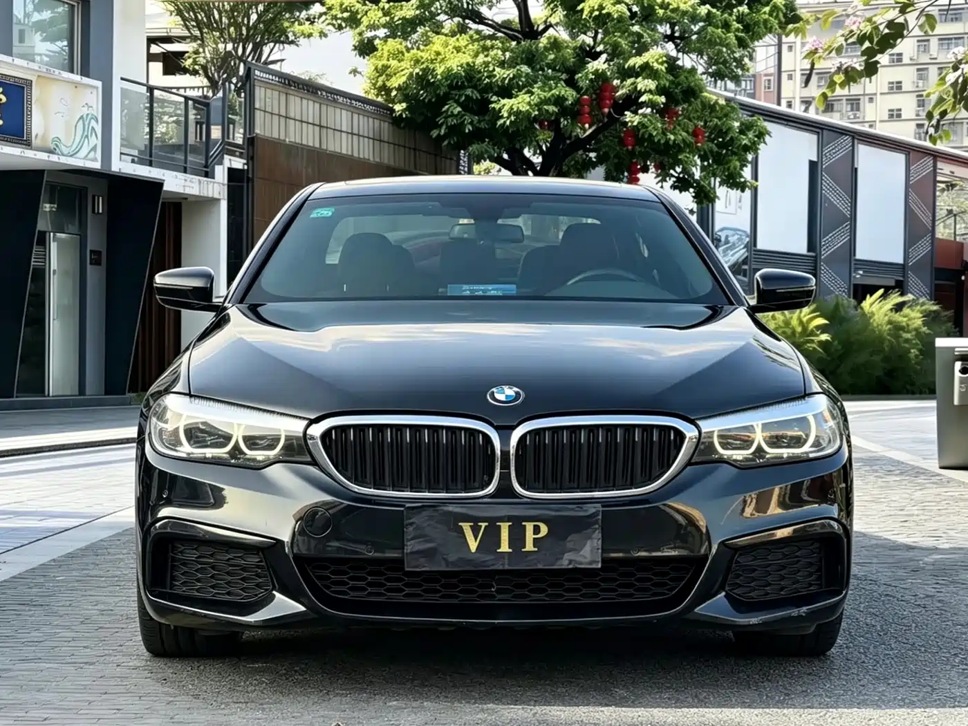 BMW 5 Series 2019 530Li Leading M Sport Package фото 2