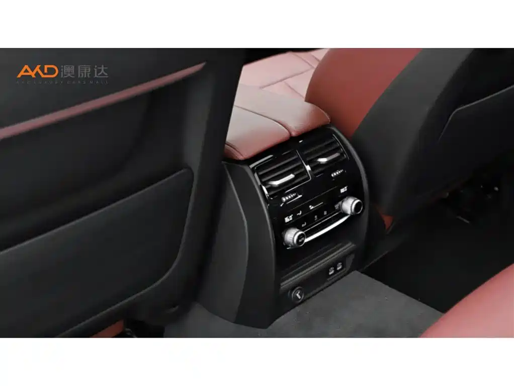 BMW 5 Series 2020 530Li Exclusive M Sport Package фото 9