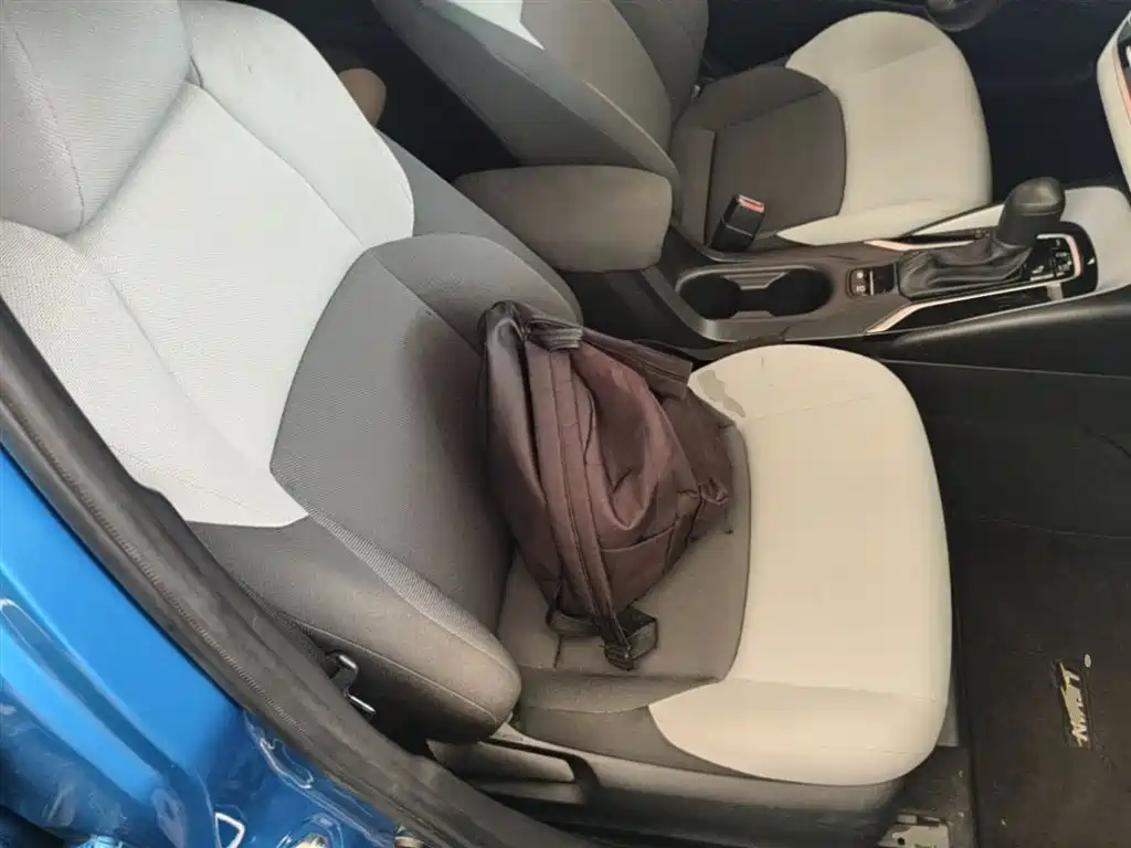 Toyota Levin 2019 185T CVT Luxury Edition China VI фото 25