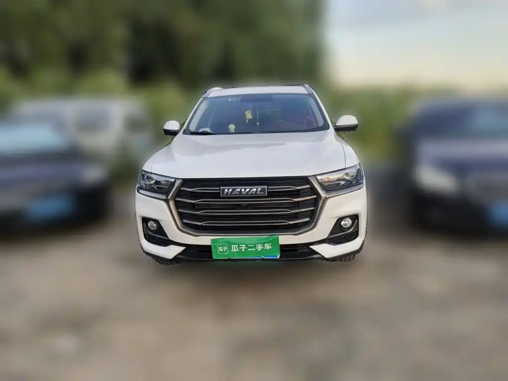 Фото 23 - Haval H6
