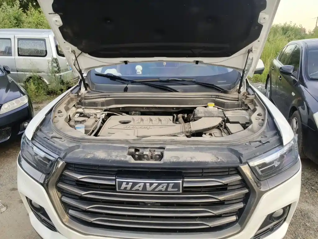 Фото 11 - Haval H6