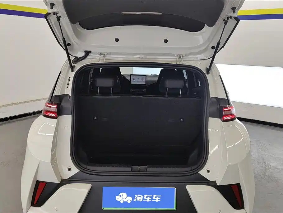 BYD Seagull 2025 Smart Drive Edition 305km Vitality Version фото 4