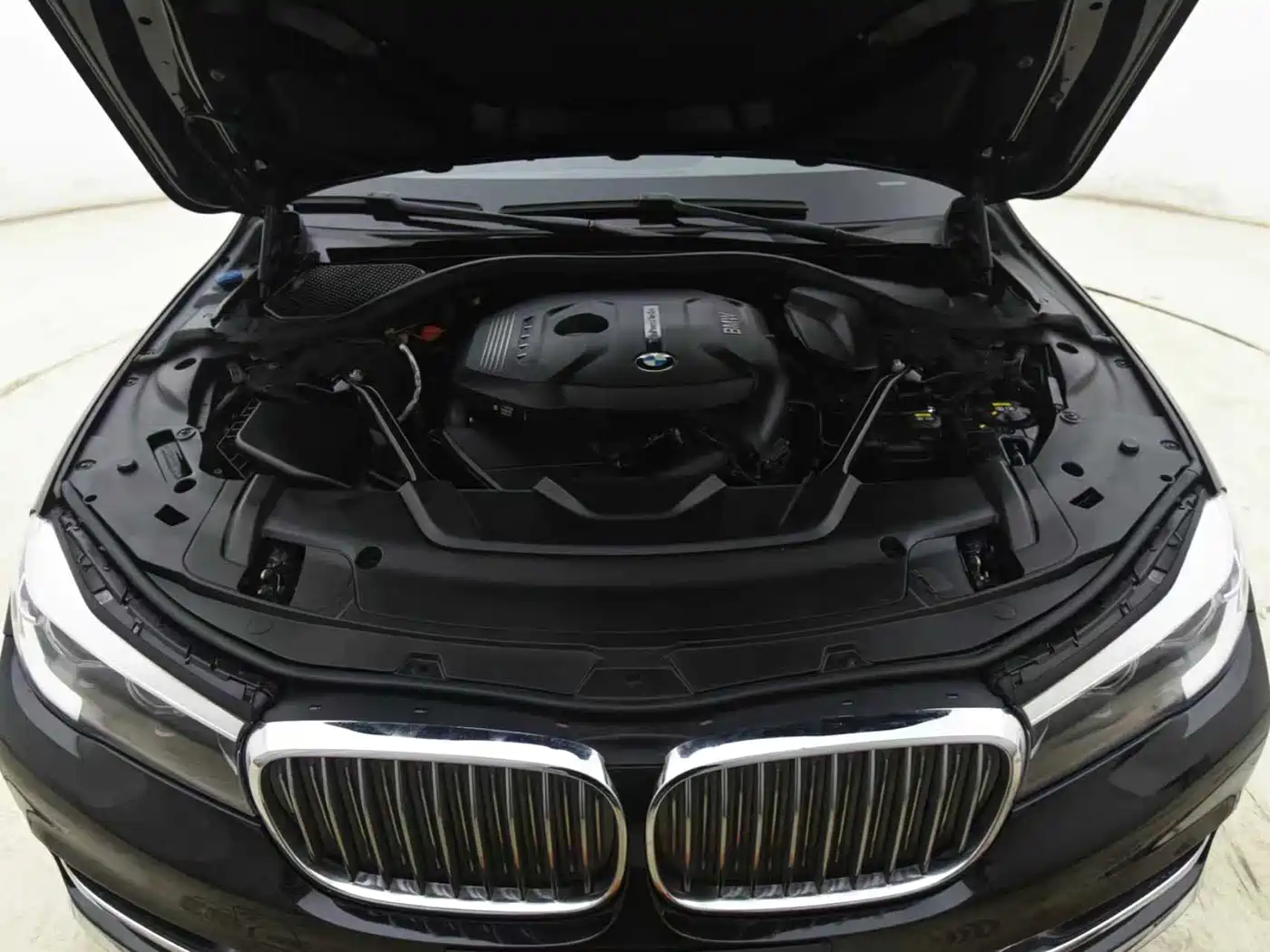 BMW 7 Series 2018 730Li Leading Type Excellence Package фото 12