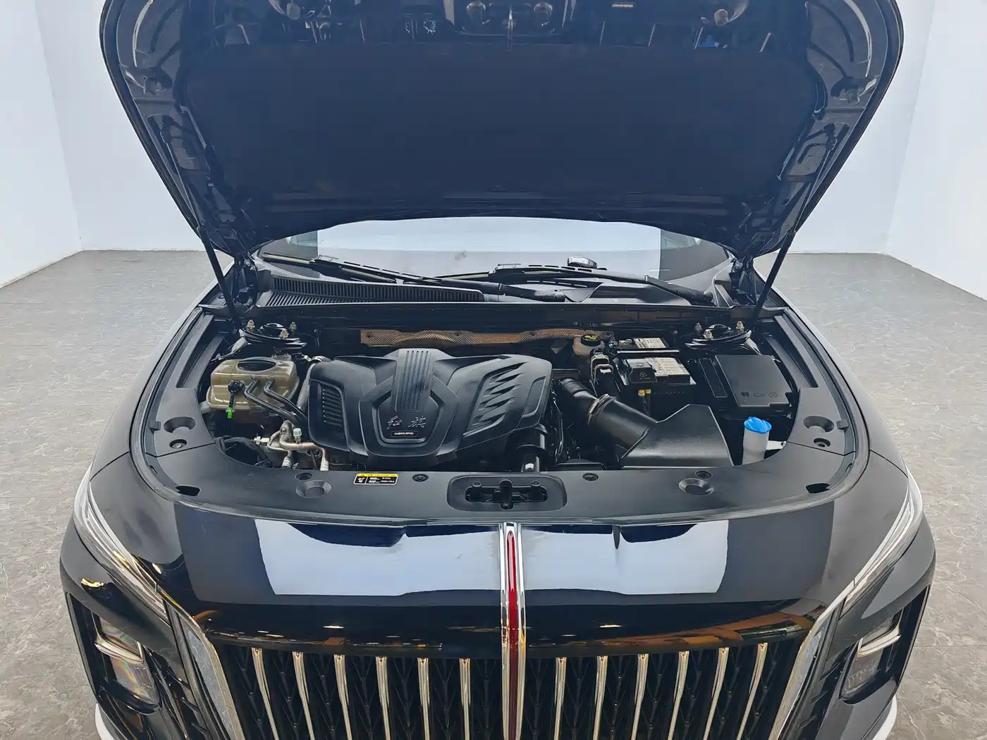 Hongqi H5 2024 1.5T DCT Smart Connect Flag Rhythm Edition фото 13