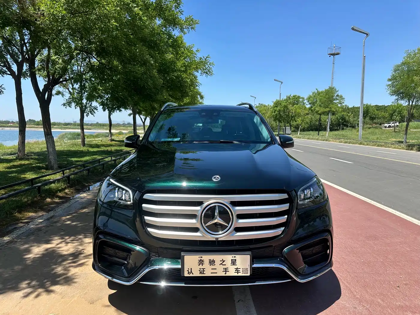Mercedes-Benz GLS 2024 Model GLS 450 4MATIC Luxury фото 2
