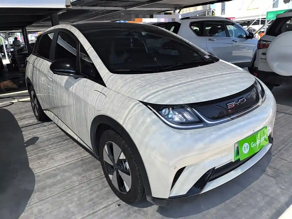 BYD Dolphin 2023 420km Fashion Edition фото 4