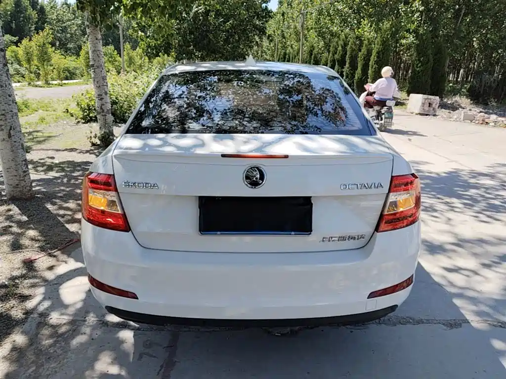 Škoda Octavia 2017 1.6L Manual ChuangXing фото 6