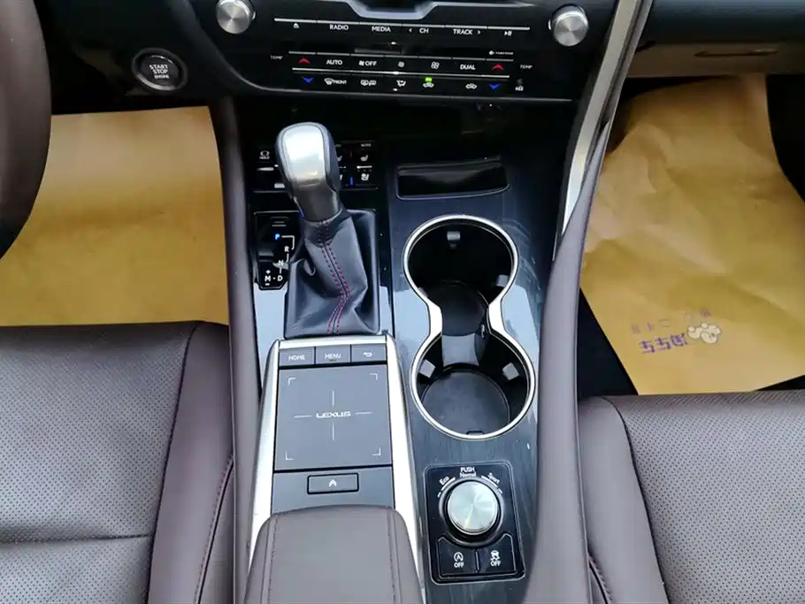 Lexus RX 2020 Facelift 300 AWD Elegance Edition фото 16
